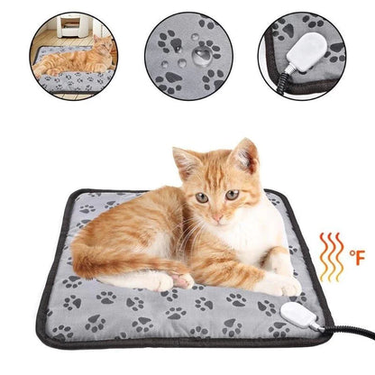 Pet Intelligent Blanket
